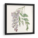 Elegante Botánico Ii - Vision Studio | Cuadro decorativo de Canvas Lab