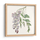 Elegante Botánico Ii - Vision Studio | Cuadro decorativo de Canvas Lab