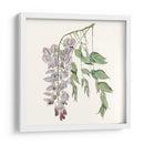 Elegante Botánico Ii - Vision Studio | Cuadro decorativo de Canvas Lab