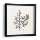 Elegante Botánico Iii - Vision Studio | Cuadro decorativo de Canvas Lab