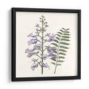 Elegante Botánico Iii - Vision Studio | Cuadro decorativo de Canvas Lab