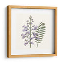 Elegante Botánico Iii - Vision Studio | Cuadro decorativo de Canvas Lab