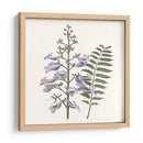 Elegante Botánico Iii - Vision Studio | Cuadro decorativo de Canvas Lab