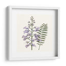 Elegante Botánico Iii - Vision Studio | Cuadro decorativo de Canvas Lab