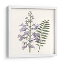 Elegante Botánico Iii - Vision Studio | Cuadro decorativo de Canvas Lab