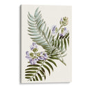 Graciosa Botánica Iv - Vision Studio | Cuadro decorativo de Canvas Lab