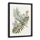 Graciosa Botánica Iv - Vision Studio | Cuadro decorativo de Canvas Lab