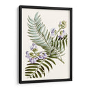 Graciosa Botánica Iv - Vision Studio | Cuadro decorativo de Canvas Lab