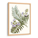 Graciosa Botánica Iv - Vision Studio | Cuadro decorativo de Canvas Lab