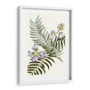 Graciosa Botánica Iv - Vision Studio | Cuadro decorativo de Canvas Lab