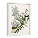 Graciosa Botánica Iv - Vision Studio | Cuadro decorativo de Canvas Lab