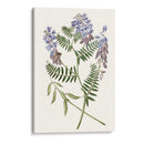 Elegante Botánica V - Vision Studio | Cuadro decorativo de Canvas Lab