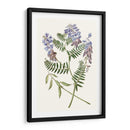 Elegante Botánica V - Vision Studio | Cuadro decorativo de Canvas Lab