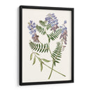 Elegante Botánica V - Vision Studio | Cuadro decorativo de Canvas Lab