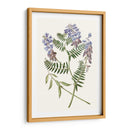 Elegante Botánica V - Vision Studio | Cuadro decorativo de Canvas Lab