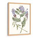 Elegante Botánica V - Vision Studio | Cuadro decorativo de Canvas Lab