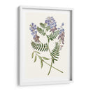 Elegante Botánica V - Vision Studio | Cuadro decorativo de Canvas Lab