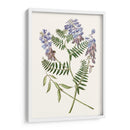 Elegante Botánica V - Vision Studio | Cuadro decorativo de Canvas Lab