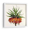 Cosechado Antiguo Botánico V - Vision Studio | Cuadro decorativo de Canvas Lab