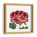 Cultivo Antiguo Botánico Ix - Vision Studio | Cuadro decorativo de Canvas Lab