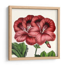 Cultivo Antiguo Botánico Ix - Vision Studio | Cuadro decorativo de Canvas Lab