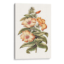 Hibisco Floreciente I | Cuadro decorativo de Canvas Lab