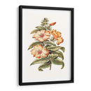 Hibisco Floreciente I | Cuadro decorativo de Canvas Lab