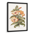 Hibisco Floreciente I | Cuadro decorativo de Canvas Lab