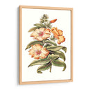 Hibisco Floreciente I | Cuadro decorativo de Canvas Lab