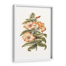 Hibisco Floreciente I | Cuadro decorativo de Canvas Lab