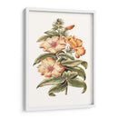 Hibisco Floreciente I | Cuadro decorativo de Canvas Lab