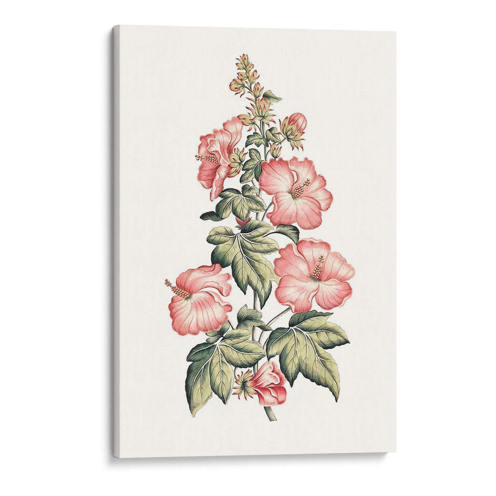 Hibiscus Flowering Ii | Cuadro decorativo de Canvas Lab