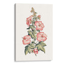 Hibiscus Flowering Ii | Cuadro decorativo de Canvas Lab