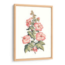 Hibiscus Flowering Ii | Cuadro decorativo de Canvas Lab