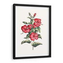 Hibisco Floreciente Iii | Cuadro decorativo de Canvas Lab
