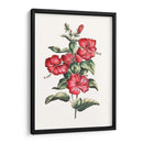 Hibisco Floreciente Iii | Cuadro decorativo de Canvas Lab