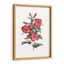 Hibisco Floreciente Iii | Cuadro decorativo de Canvas Lab