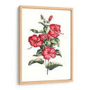 Hibisco Floreciente Iii | Cuadro decorativo de Canvas Lab