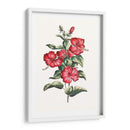 Hibisco Floreciente Iii | Cuadro decorativo de Canvas Lab