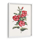 Hibisco Floreciente Iii | Cuadro decorativo de Canvas Lab
