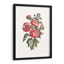 Hibiscus Flowering Iv | Cuadro decorativo de Canvas Lab