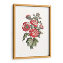 Hibiscus Flowering Iv | Cuadro decorativo de Canvas Lab