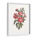Hibiscus Flowering Iv | Cuadro decorativo de Canvas Lab