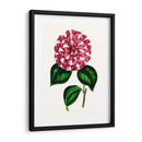 Grand Blooms I | Cuadro decorativo de Canvas Lab