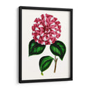 Grand Blooms I | Cuadro decorativo de Canvas Lab