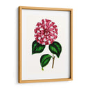 Grand Blooms I | Cuadro decorativo de Canvas Lab
