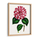 Grand Blooms I | Cuadro decorativo de Canvas Lab