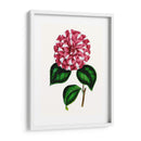 Grand Blooms I | Cuadro decorativo de Canvas Lab