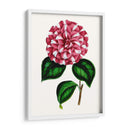 Grand Blooms I | Cuadro decorativo de Canvas Lab