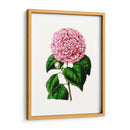 Grand Blooms Ii | Cuadro decorativo de Canvas Lab